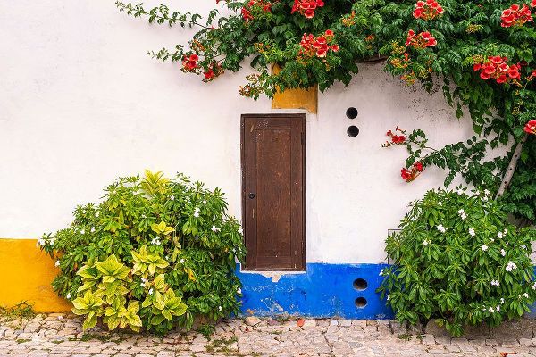 Jaynes Gallery 아티스트의 Europe-Portugal-Obidos-Colorful house작품입니다.